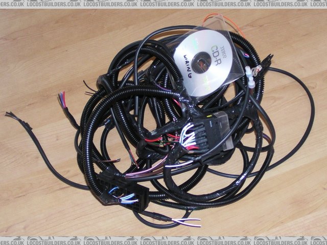 Rescued attachment GBS wiring loom.jpg